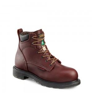 Men's Red Wing SuperSole® 2.0 6-inch Waterproof CSA Safety Toe Steel Toe Boot Burgundy | 49860-EOJQ